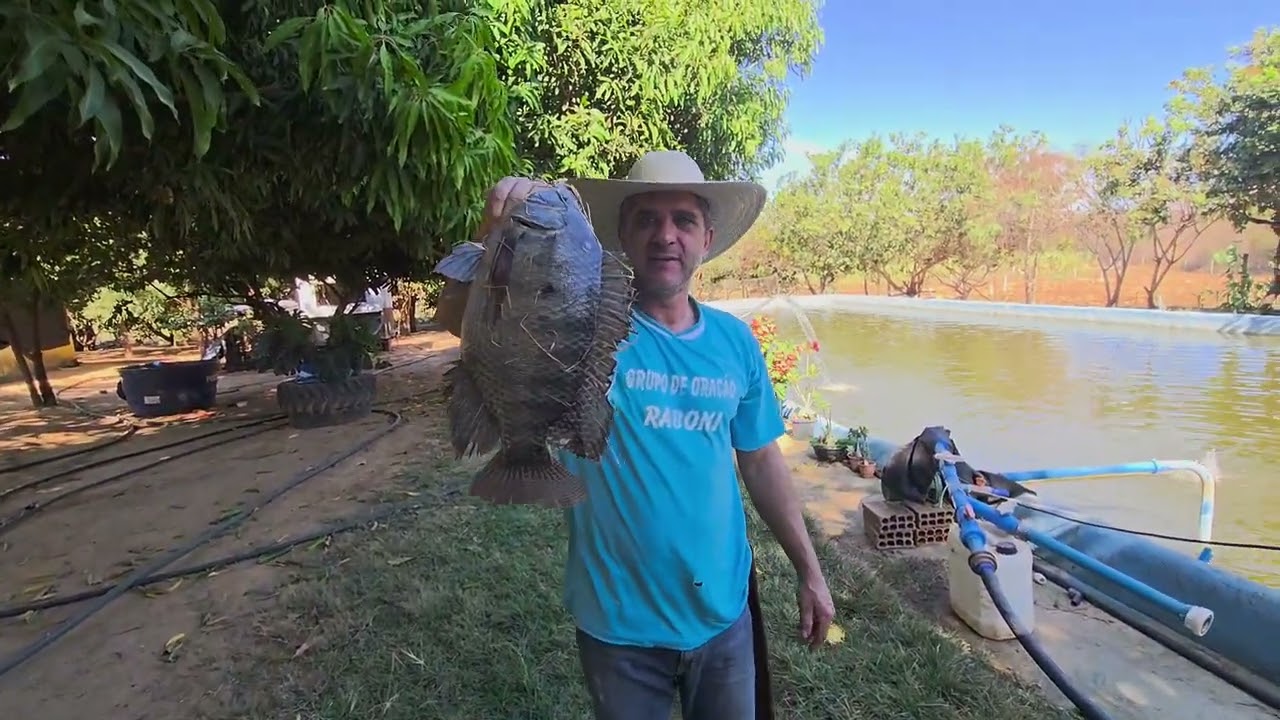 FARTURA NA ROÇA. MOSTREI NOSSA PLANTAÇÃO. ROBERTO LUNA VIDA NA ROÇA.