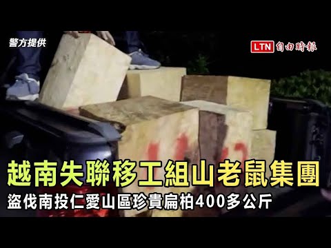 越南失聯移工組山老鼠集團 盜伐南投仁愛山區珍貴扁柏400多公斤