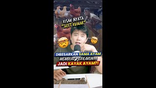 🐔😢 Anak yang Dibesarkan di Kandang Ayam… 😭 Kisah Nyata Sujit dari Fiji 💔
