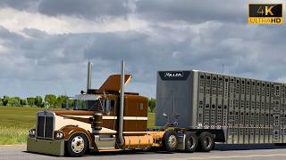 ATS 1.60 | TNT Modding Kenworth W900A Flatglass | Livestock Haul | 4K Realistic Driving
