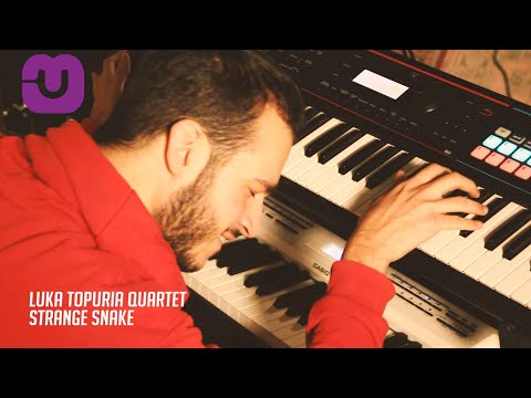 Luka Topuria Quartet - Strange Snake