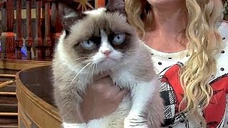 Grumpy Cat at Disneyland, meetandgreet and interview for Disney Side event