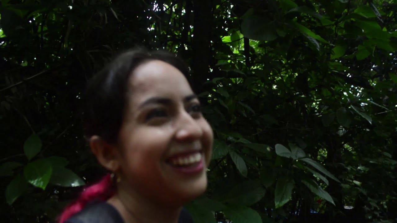 CONOCIENDO EL JARDIN BOTANICO DE GUAYAQUIL / VIAJANDO ANDO MEJOR camera iphone 8 plus apk