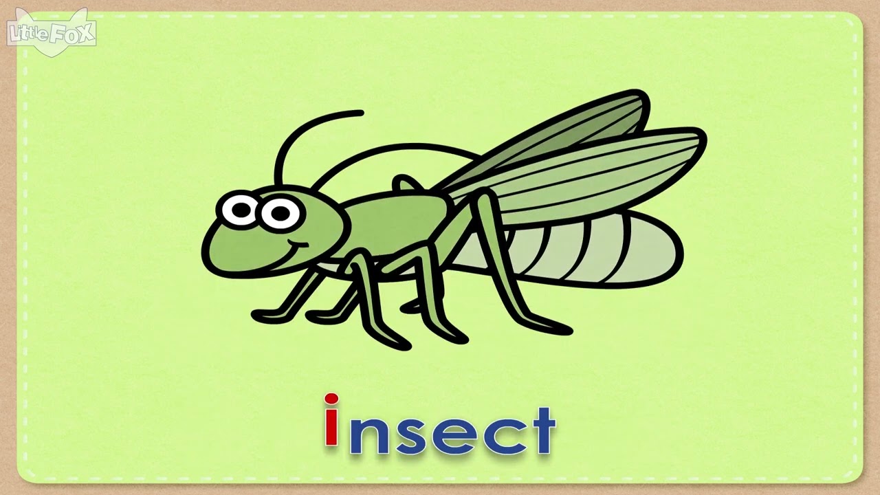 ABC Book  Letter Ii   Little Fox