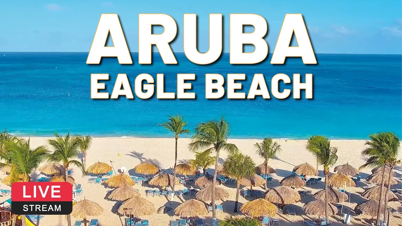 🌴 LIVE Cam Eagle Beach - Costa Linda Beach Resort - Aruba