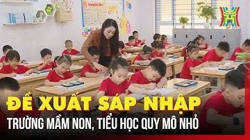 Đề xuất sáp nhập trường mầm non, tiểu học quy mô nhỏ | Tin tức