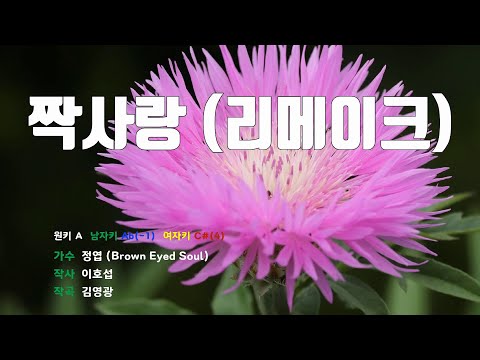 [은성 반주기] 짝사랑(리메이크) - 정엽(Brown Eyed Soul)