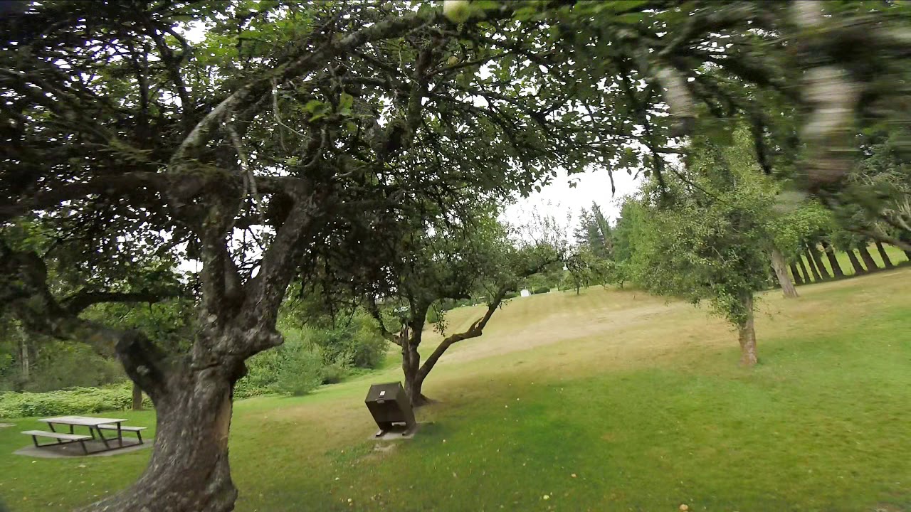 Neilson park is a beautiful park for rippin!