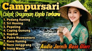 Download lagu NGLARAS NYAMLENG CAMPURSARI COKEK SRAGENAN - ALBUM CAMPURSARI KOPLO GAYENG AUDIO JERNIH FULL BASS