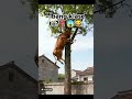 animal lovers