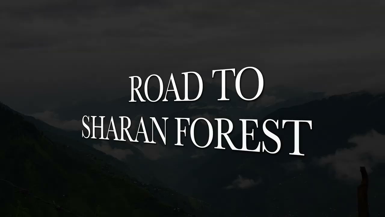 Road to Sharan Forest