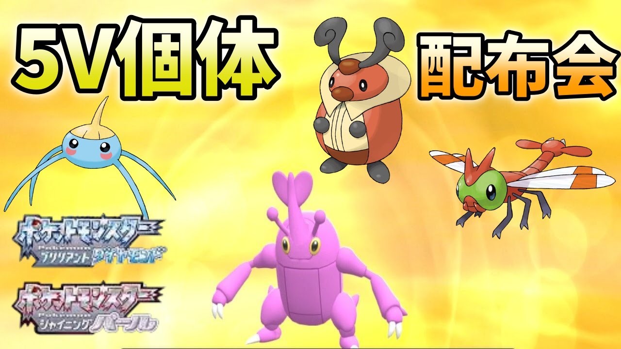 ダイパリメイク 虫ポケ感謝の大放出 画面越しで恩返し ５v虫ポケ配布会 Youtube