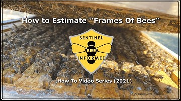How to Estimate Frames of Bees