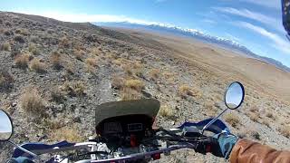 Burro Trails on Betty Boop, the  TW200