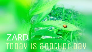 Download lagu ZARD Today is another day