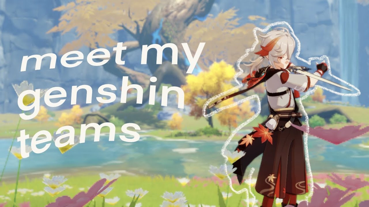 meet my genshin team 
