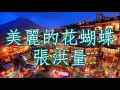 美丽的花蝴蝶   张洪量   +   lyrics