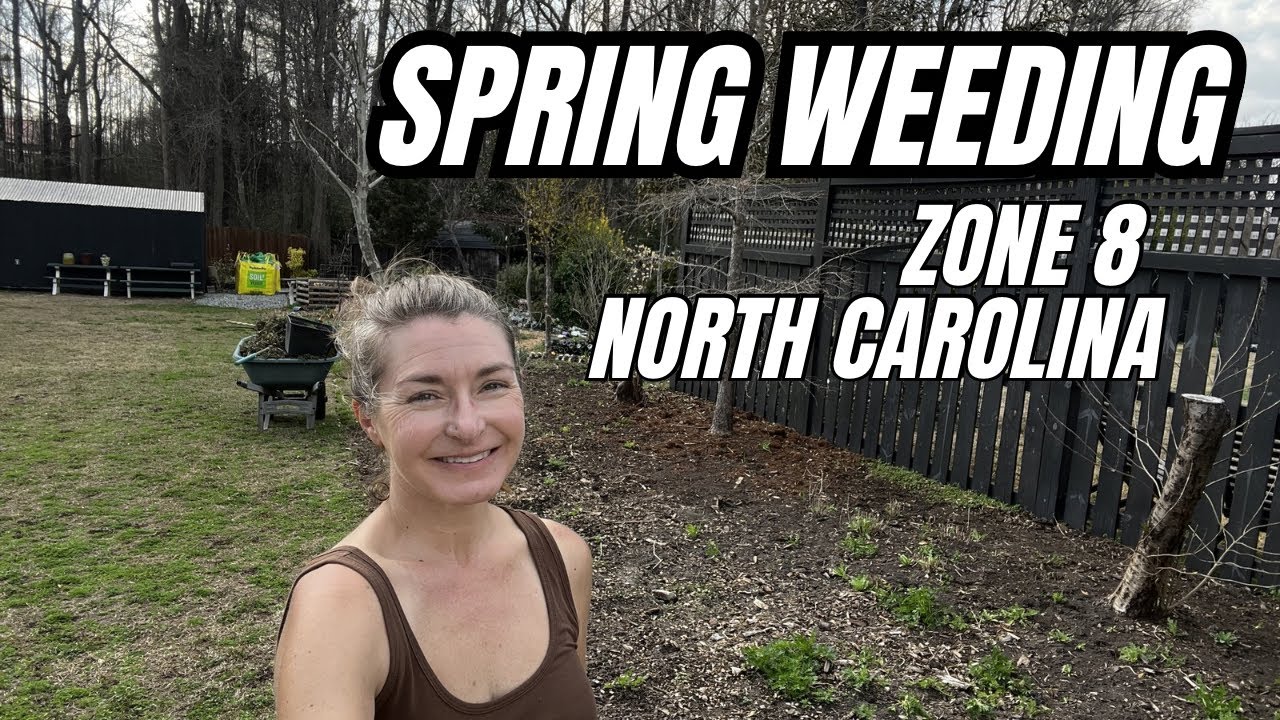 Весенняя прополка, зона 8