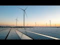 Staying Ahead with the Latest Trends in ESG