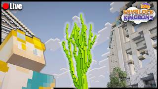 A relaxing creative stream where I work on the Final build of Skyblock Kingdoms Season 2