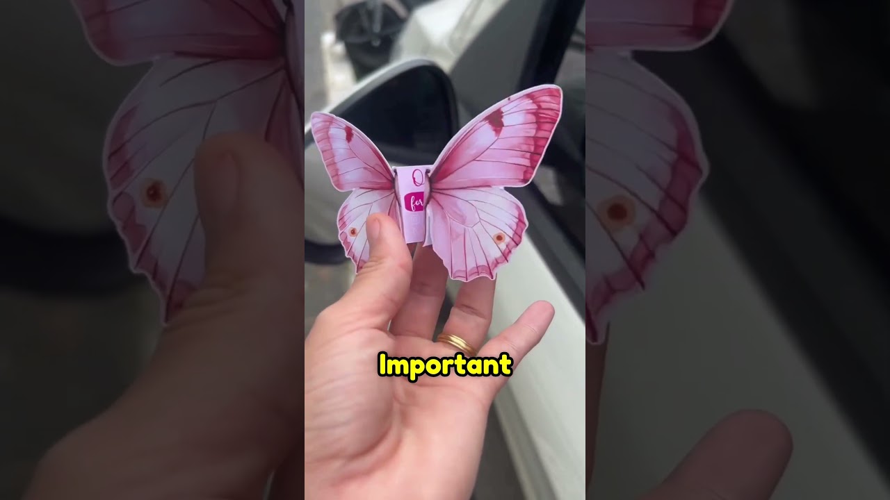 Butterfly marketing pamplet