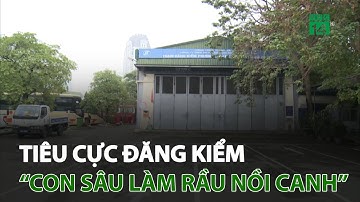 Tiêu cực đăng kiểm: “Con sâu làm rầu nồi canh” | VTC14