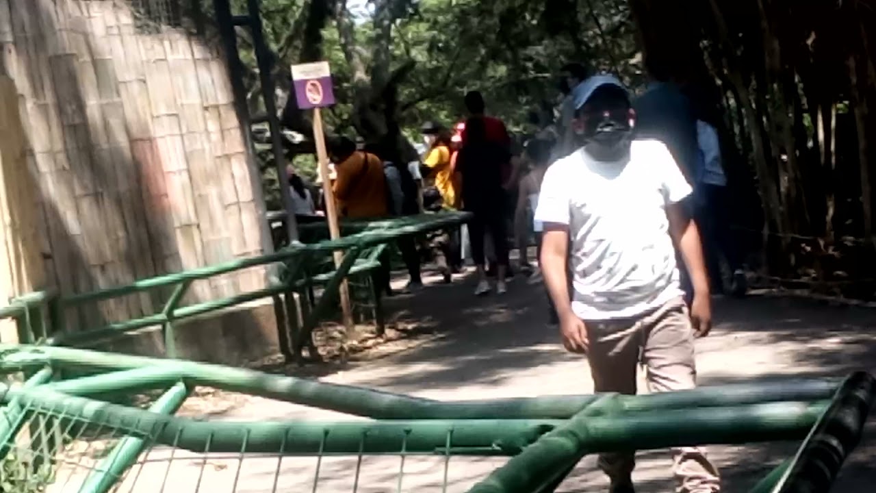 estamos en el zoo de Quitoooo