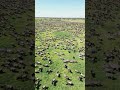 The Great Migration goes beyond the dramatic crossings of the Mara River👉 further in description👇