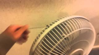 Fans part 2