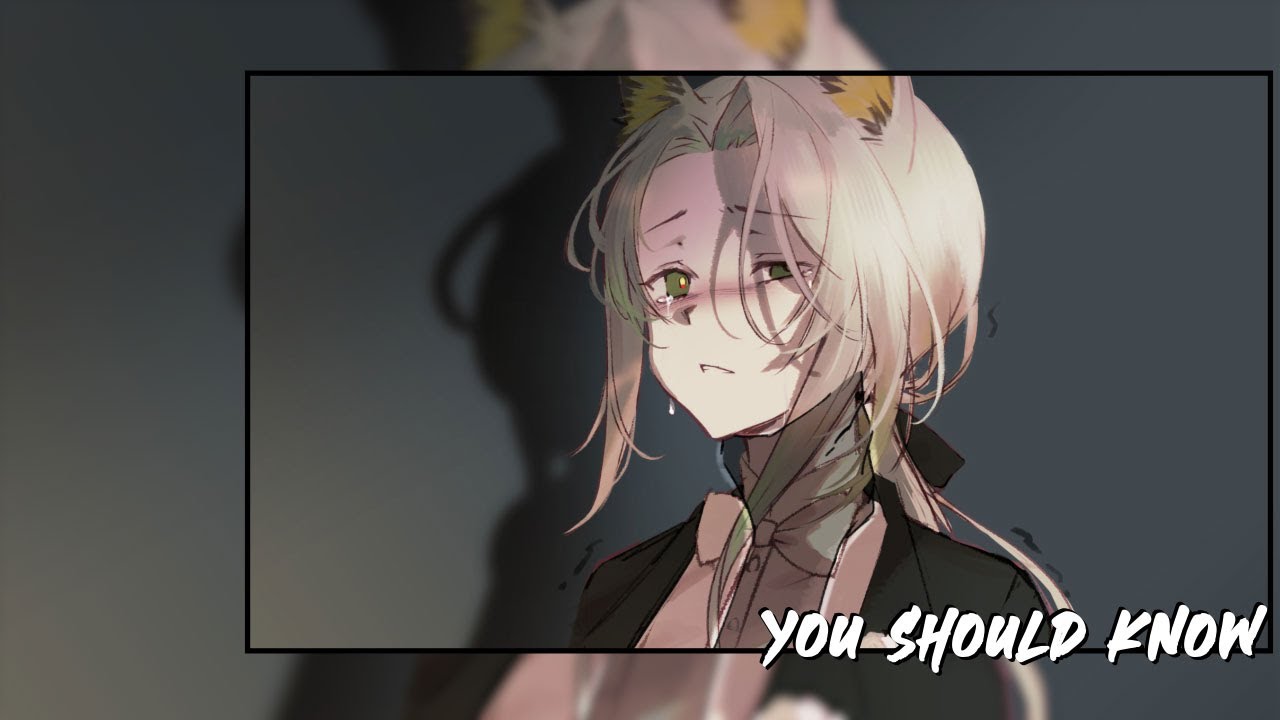 Provi, Pierre Leck, Hadar Sopher - You Should Know