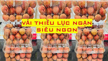 Khánh Linh ăn thử Vải Thiều Lục Ngạn, quá là ngon cho 03 hộp đầy | Khanhlinhtv
