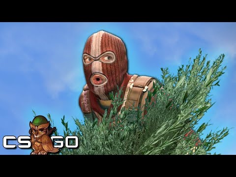 CS:GO Hide and seek | დამალობანა  დაგტროლეე დოუკარი მერე 🤣