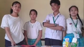 Performance Task in TLE Group 3| Video presentation| Eusebio High School Profile