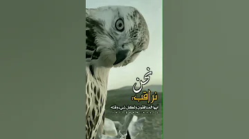 نحن نراقب أيها المنافقون 