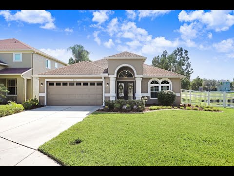 19301 Seacove Drive, Lutz, FL home video tour