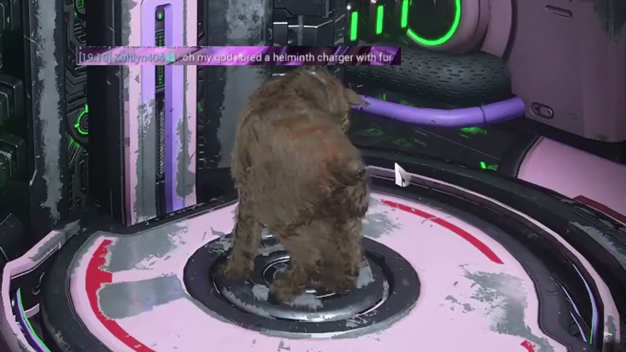 warframe: the breeding experience