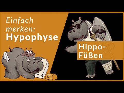 Video: Was ist der Unterschied zwischen einem Nebennieren- oder Hypophysentumor bei Hunden?
