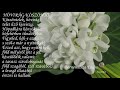 Hóvirág köszöntő - Sergey Chekalin - Сергея Чекалина  - (nagyon szép zene)
