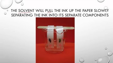 Forensics Chromatography Lab