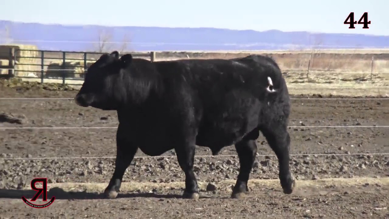 Reverse Rocking R Ranch Lot 44 - YouTube