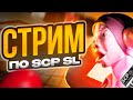СТРИМ ПО SCP SL СЕКРЕТНЫЕ ПОДМЫШКИ 777