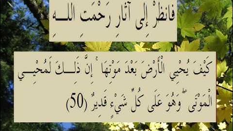 القران الكريم سورة الروم الأية 50.wmv