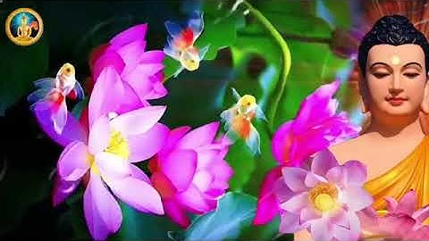 Nhẹ Gánh ưu phiền - an nhiên tự tại