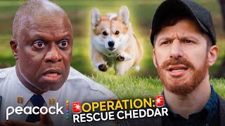 Brooklyn Nine-Nine | Jake Goes Undercover to Help Captain Holt Save Cheddar