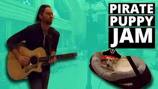 Pirate Puppy Jam (360 Music Video)