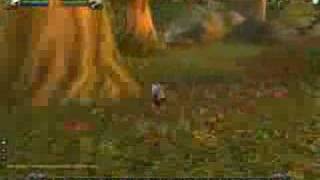 Wow Speed Hack Chase!!