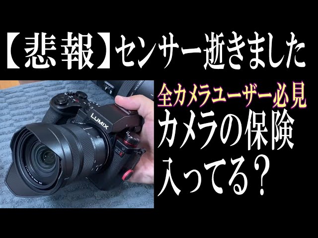 LUMIXユーザーは必見】無償修理とカメラの保険に入った話 カメラの点検 