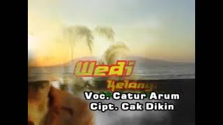 Download Lagu WEDI KELANGAN CATUR ARUM BANYUWANGI MP3