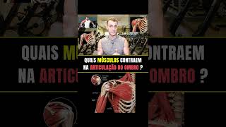 Quais músculos contraem na articulação do Ombro? #treinodeombro #hipertrofia #musculação #anatomia