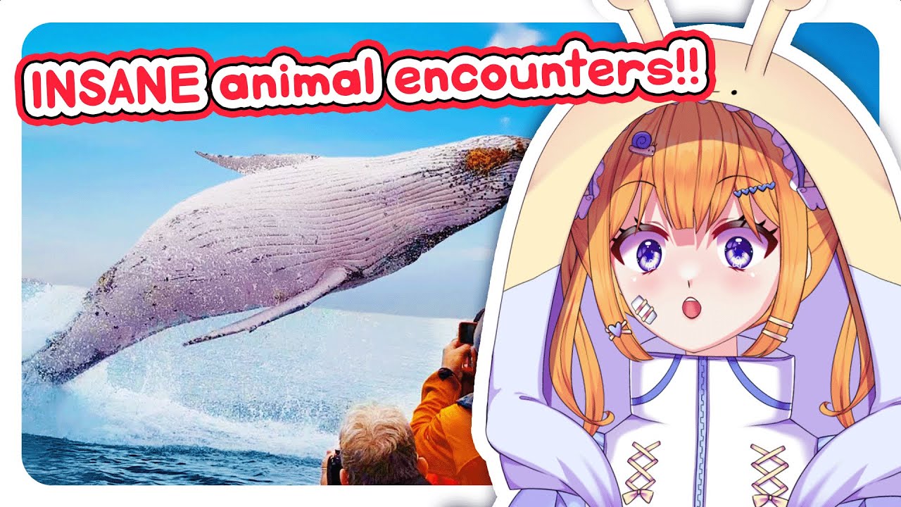 Animals are much WILDER than we think!! | Snail Vtuber reacts to Daily Dose of Internet